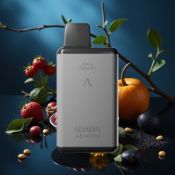 Adalya AD 10000 Puffs Space Gray Aluminium USB-C Berlin Night