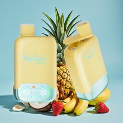 Vapsolo Twins 20000 Puffs 40ml Dual Tank Type-C