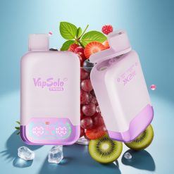 Vapsolo Twins 20000 Puffs 40ml Dual Tank Type-C Grape Ice & Strawberry Kiwi