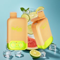 Vapsolo Twins 20000 Puffs 40ml Dual Tank Type-C Lemon Lime & Watermelon Ice